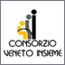 Consorzio Veneto Insieme